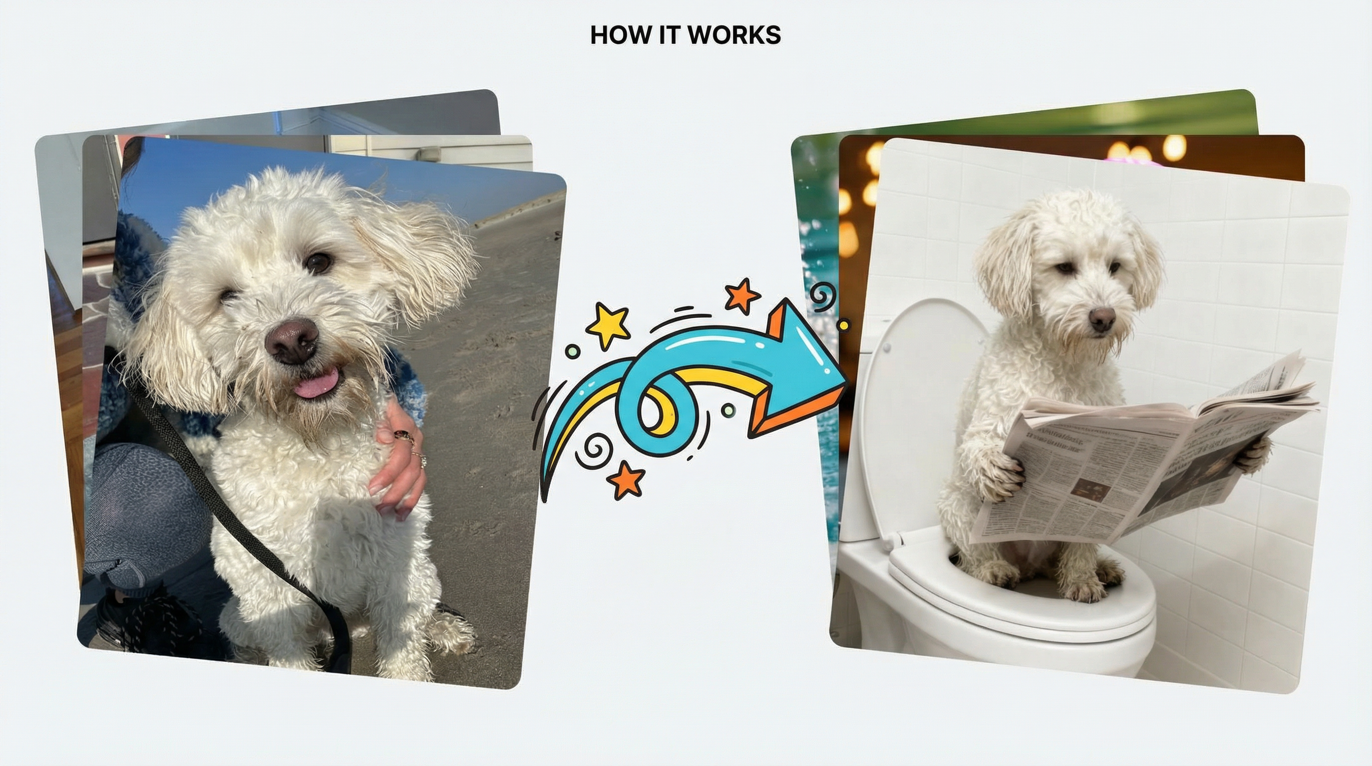 How Pet Studio works - Before and After
